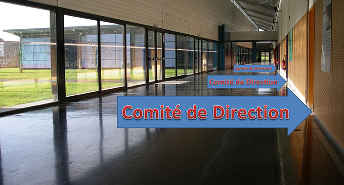 Les rituels des Comités de Direction sont bien connus dans les entreprises : appréciés ou redoutés, ils ne laissent pas indifférents.… Mais qu’elle est leur efficacité réelle ? Sans doute impertinente, la question mérite le détour !